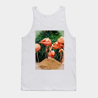 Newly Hatched Chick Tank Top